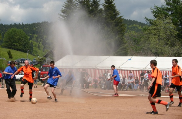 gv-svhe2012