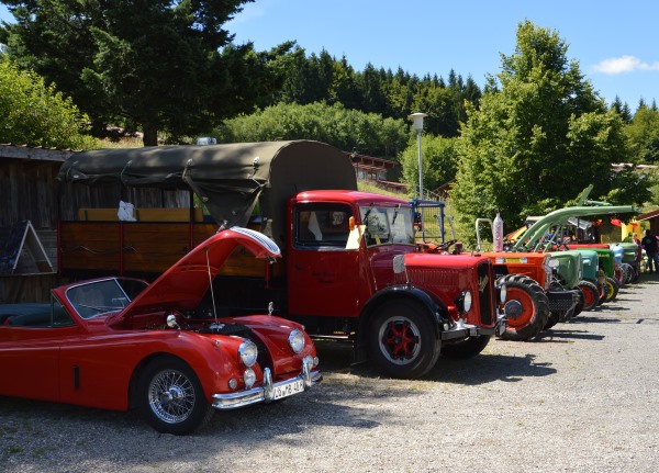mgv sommerfest15