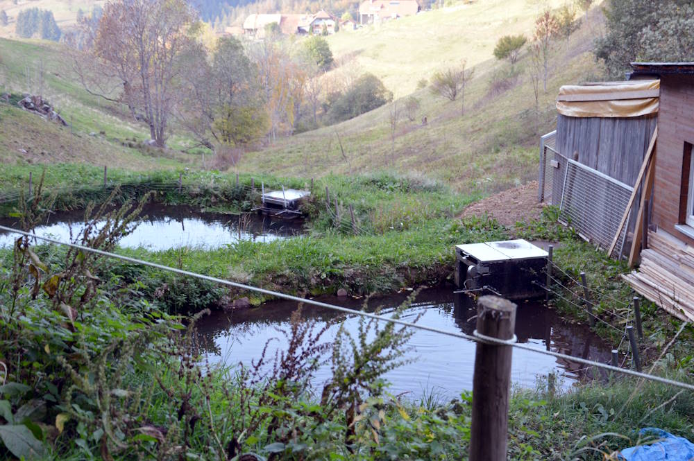 Altes Foto der Weiheranlage des Angelsportvereins Häg-Ehrsberg