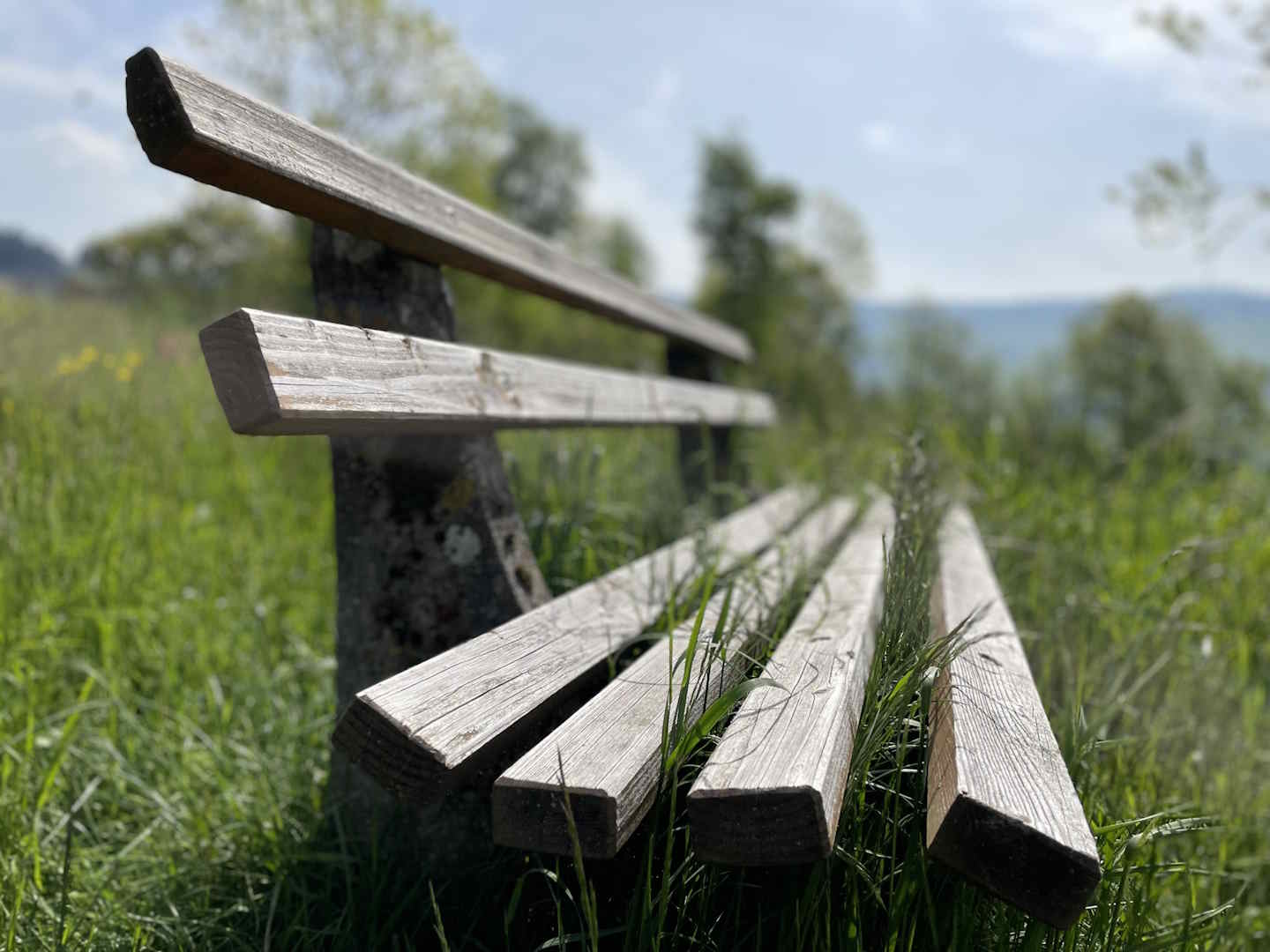 background3